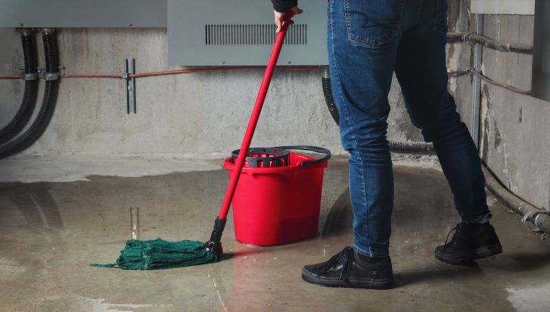 Basement Seepage Repair in Tampa, FL