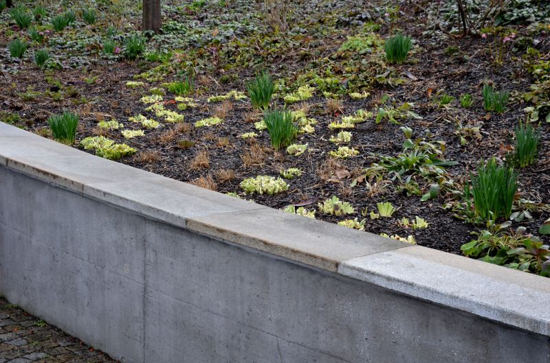Concrete Retaining Wall Repair in Corpus Christi, TX