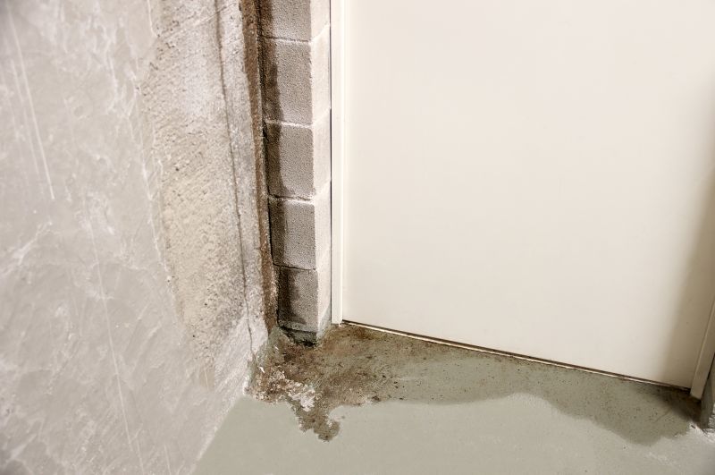 Foundation Leak Repair in Tampa, FL
