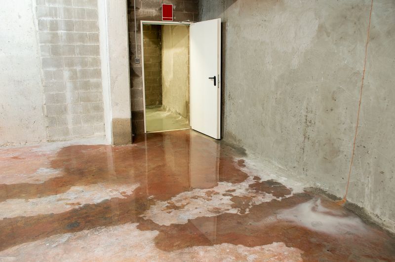 Leaking Basement Repair in Tampa, FL